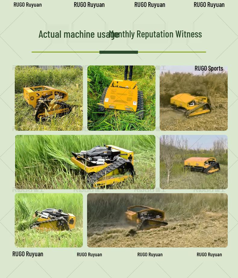 Remote-Controlled Four-Wheel Drive Tracked Gasoline Lawn Mower for Reclamation and Forest Clearing