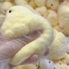 Cute Squishy Chick Press Plaything Handmade Yellow Big Chicken Plush Silicone Plaything Stress Ease Sticky Doll Kawaii Gift For Children