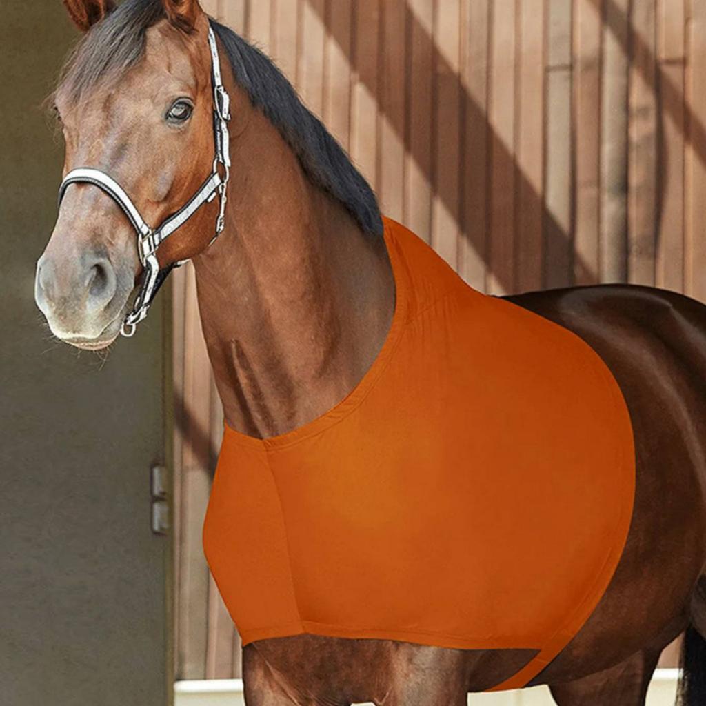 Protège-épaule de cheval Léger Couvre-cou de cheval Creature Gear Respirant Évacuant l'humidité