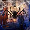 Halloween Spider Web Decoration Bar Decoration Glowing Big Spider Web Spoof Tricky Toy Simulation Plush Spider Web