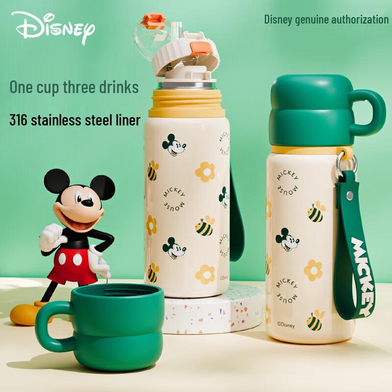 Disney Kids Insulated Water Bottle