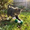 2PCS Soft Plush Cat Chew Toys Bite-Resistant Interactive Cat Toys Cat Teaser Toy  Indoor Use