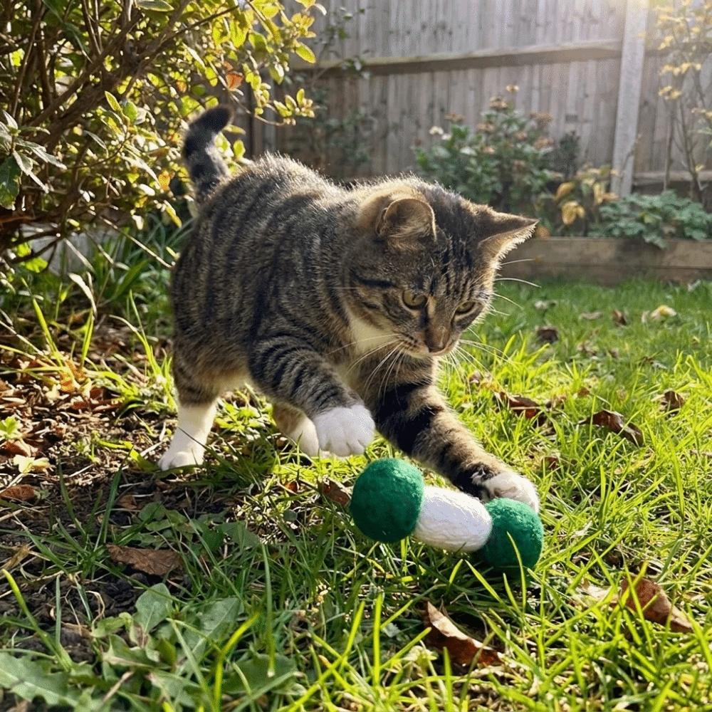 2PCS Soft Plush Cat Chew Toys Bite-Resistant Interactive Cat Toys Cat Teaser Toy  Indoor Use