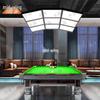 Professional LED Billiard Table Light