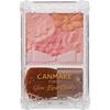 Canmake Powder Glow Fleur Cheeks 03 Fairy Orange Fleur 6.3g