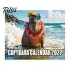 Durable Coil Calendar 2027 Wall Calendar, Decorative Monthly Planner with Metal Twin-Wire Binding for Easy Page Turning And Time Management, Desk Home