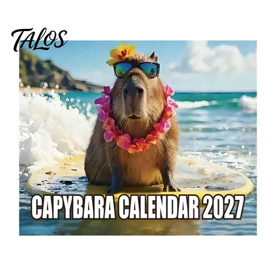 Durable Coil Calendar 2027 Wall Calendar, Decorative Monthly Planner with Metal Twin-Wire Binding for Easy Page Turning And Time Management, Desk Home