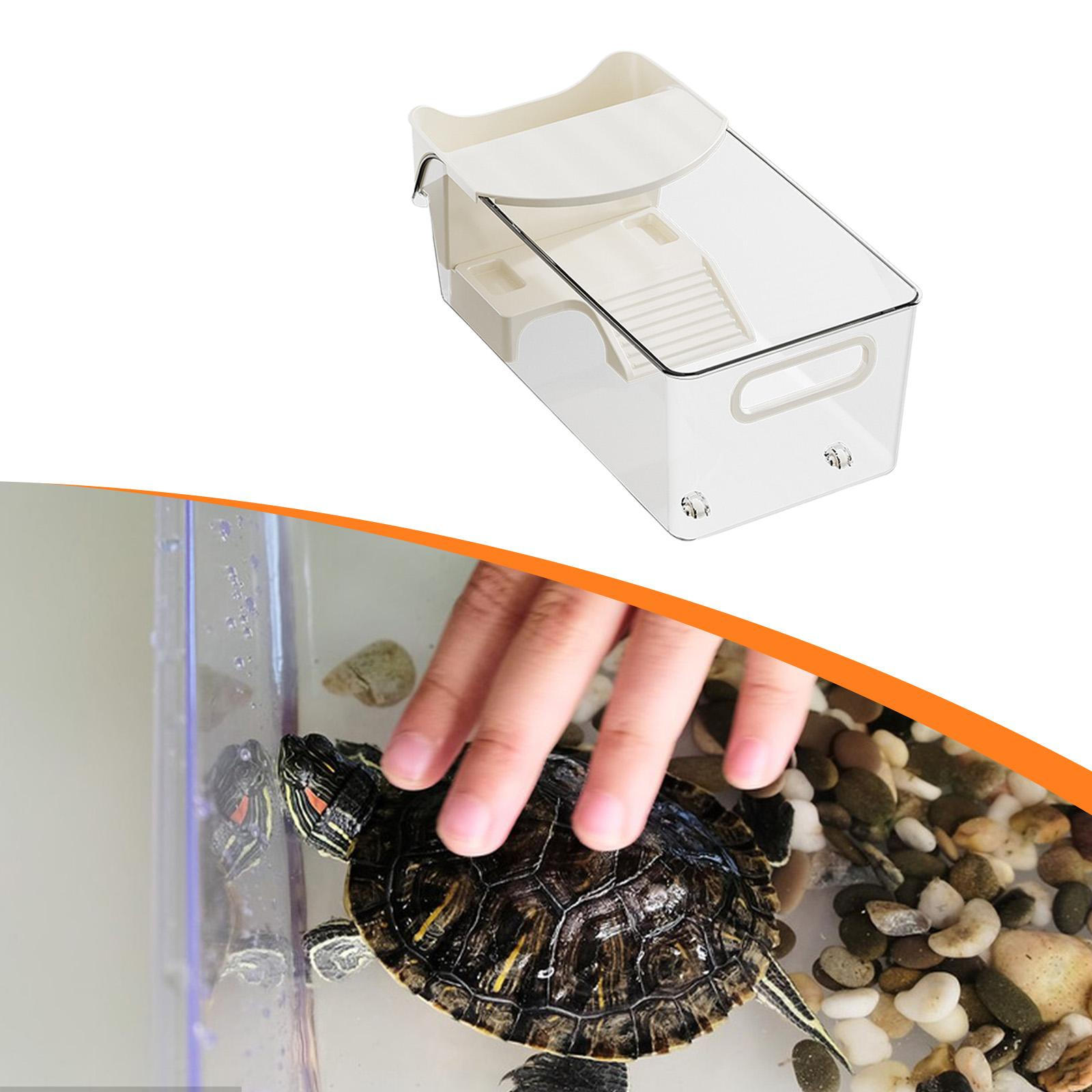 

Turtle Tank Aquarium Breeding Box Clear Hatching Area for Amphibians Climbing Resting Tortoise 37x19x14 cm