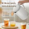 Midea 1.7L 316L Stainless Steel Electric Kettle CN plug (adapter included)