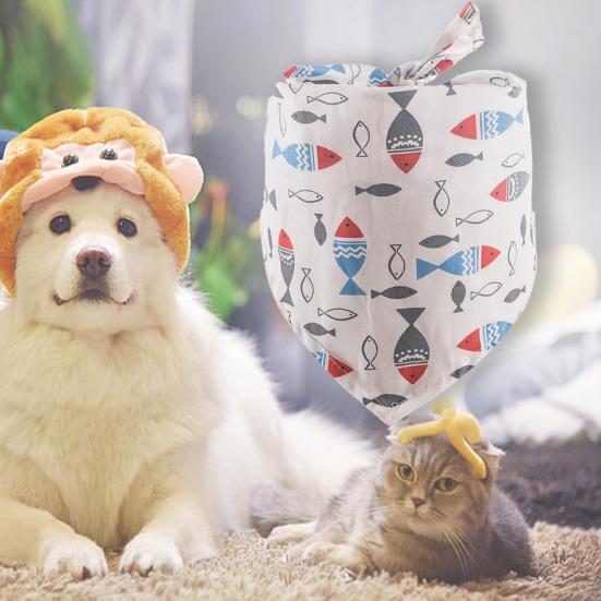 cat dog scarf