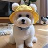 With Ear Holes Cat Sun Hat Cotton Pet Caps Summer Sunhat Cat Bucket Hat  Travel