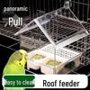 Budgie Bird Feeder & Bath: Splash-Proof for Cockatiels & Conures