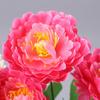 Beautifully Crafted Artificial Peonies for Home and Bedroom Decor