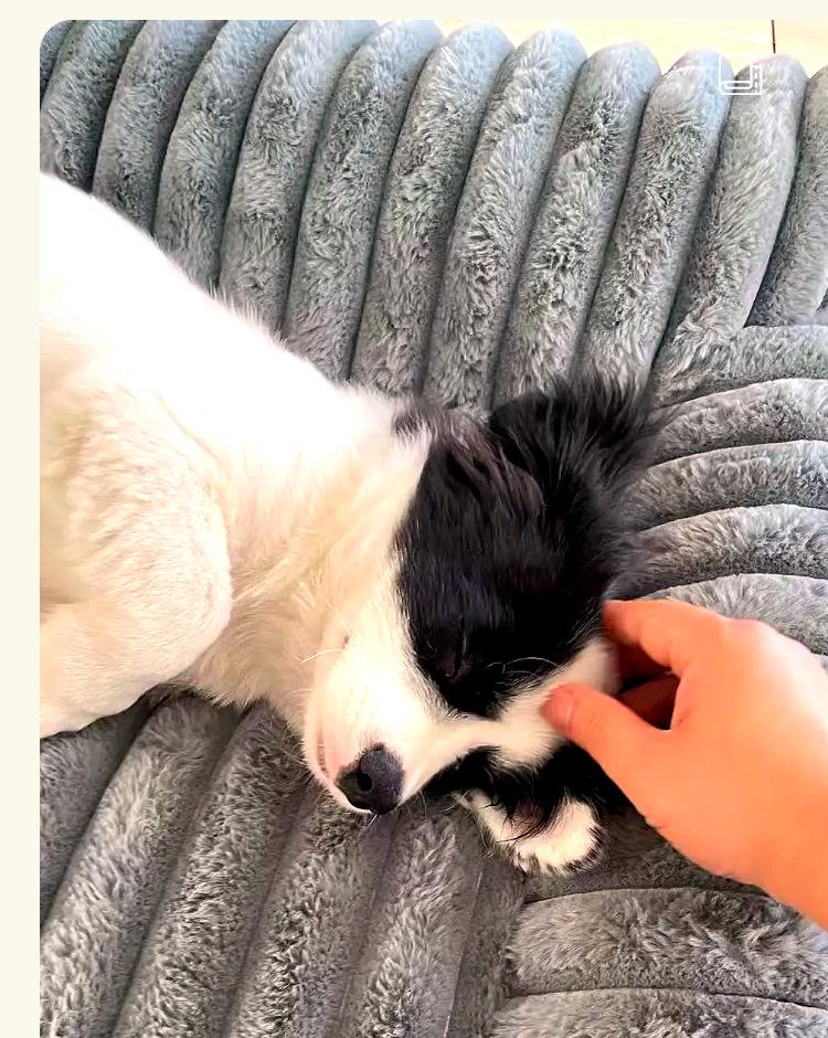All-Season Striped Rabbit Fur Pet Bed: Winter Warm Sofa for Cats & Dogs