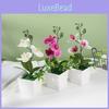 Artificial Orchid Plant With Silk Flowers For Home Decor And Gift Presentations