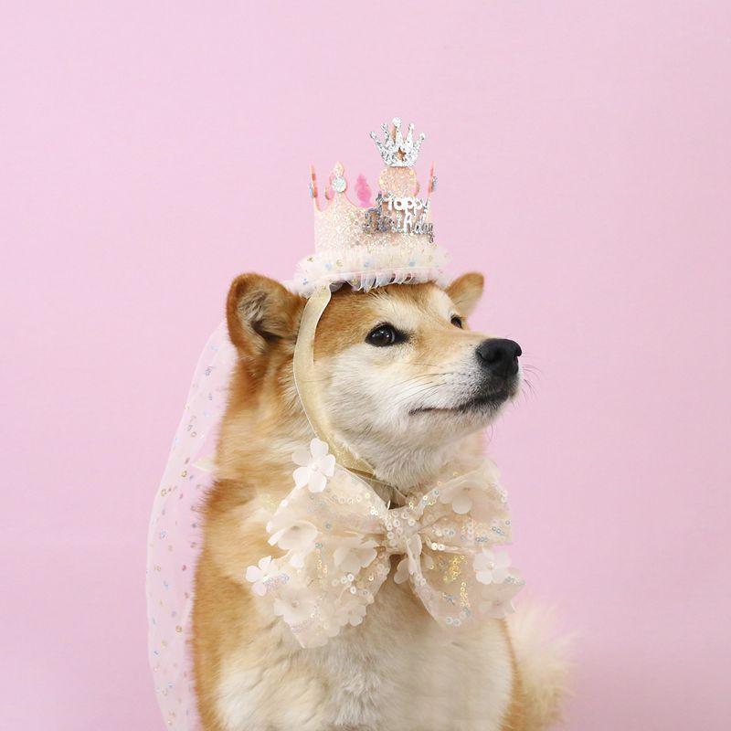 Pet Birthday Hat Bib Party Hat Cat Puppy Lace Saliva Towel Dog Bandana Scarf Dog Birthday Dress Up Photography Props Supplies