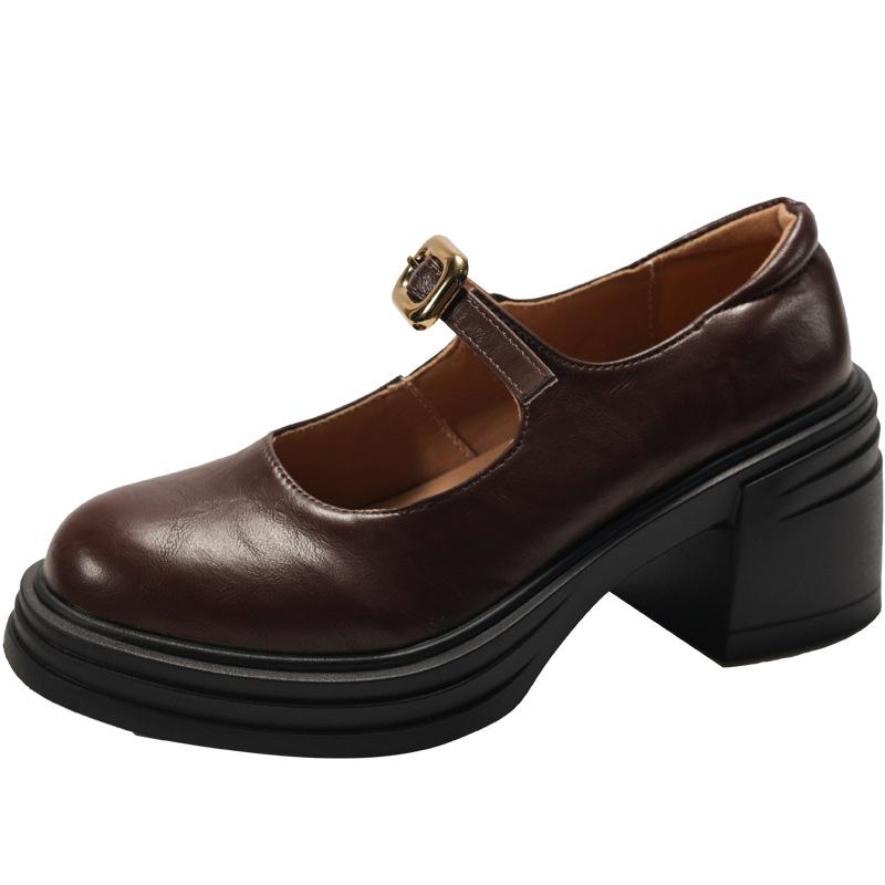 Retro brown small man thick heel heightened small leather shoes women's 2025 new summer skirt Mary Jane single shoes