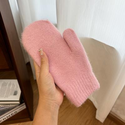 Winter Velvet Warm Gloves For Women, Fashionable And Versatile