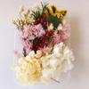 Kit DIY Fleur Éternelle: Cadre photo de fleurs séchées, éventail rond, bouteille flottante, composition florale réelle pour la décoration du salon ou de la maternelle.