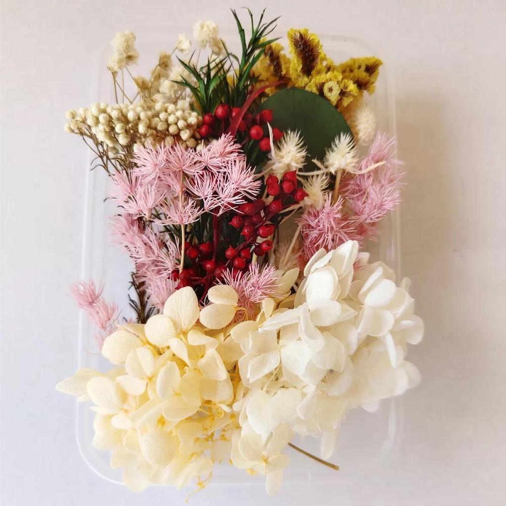 Kit DIY Fleur Éternelle: Cadre photo de fleurs séchées, éventail rond, bouteille flottante, composition florale réelle pour la décoration du salon ou de la maternelle.