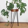 Plant Stand Whitewash Albasia Wood