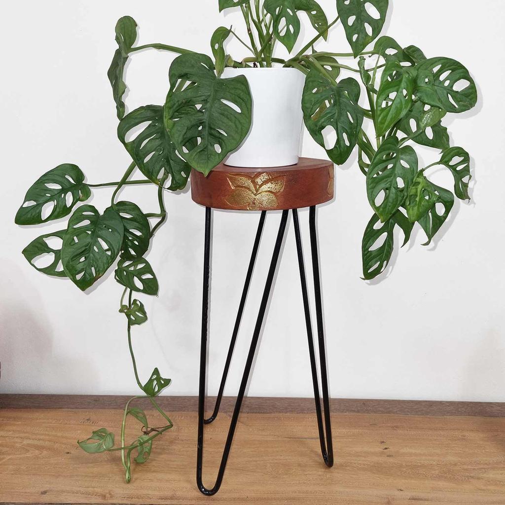 Plant Stand Whitewash Albasia Wood