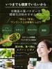 Organic JAS Certified Mulberry Leaf Powder, 100g, from Kyushu, Pesticide-Free, Caffeine-Free, Low-Carb, Mulberry Leaf Juice, Mulberry Tea, by Tsukino