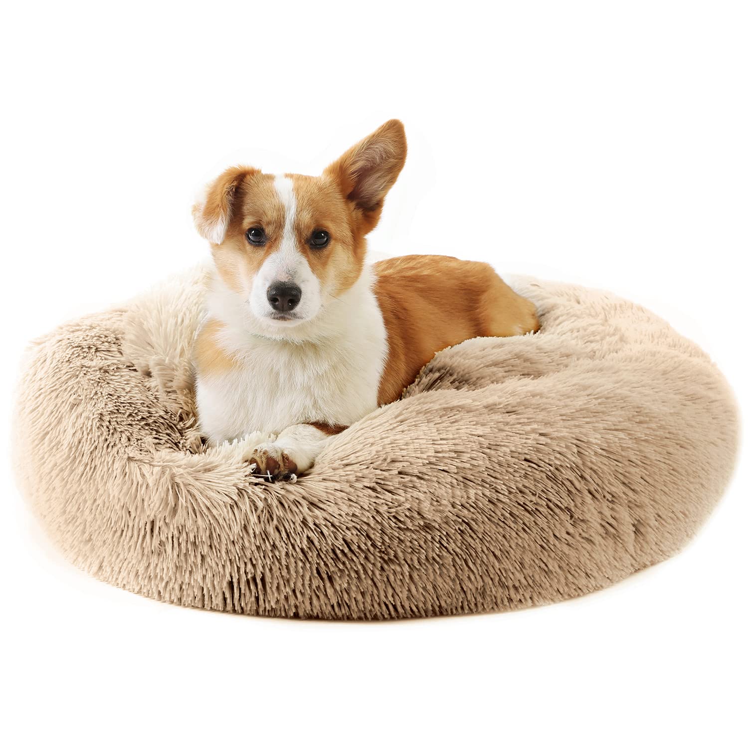 

Pet Pet Pet Pet Round Donut Pet Sound Cold for Cats and Small Pet 4 Sizes Light Approximately 50cm Diameter Peto-Raifu Bed, Cushion, Mat, Sofa, Bed,