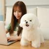 9 Kinds Dog Simulation Bichon Frise Plush Dog Toy Super Cute Likelife Corgi Dog Doll Stuffed Animal Maltese Dog Puppy Pets Toys