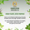 Vlado’s Himalayan Organics L-Lysine 500 mg Essential Amino Acid Capsules For Immune Support And Daily Wellness 120 Veg Capsules