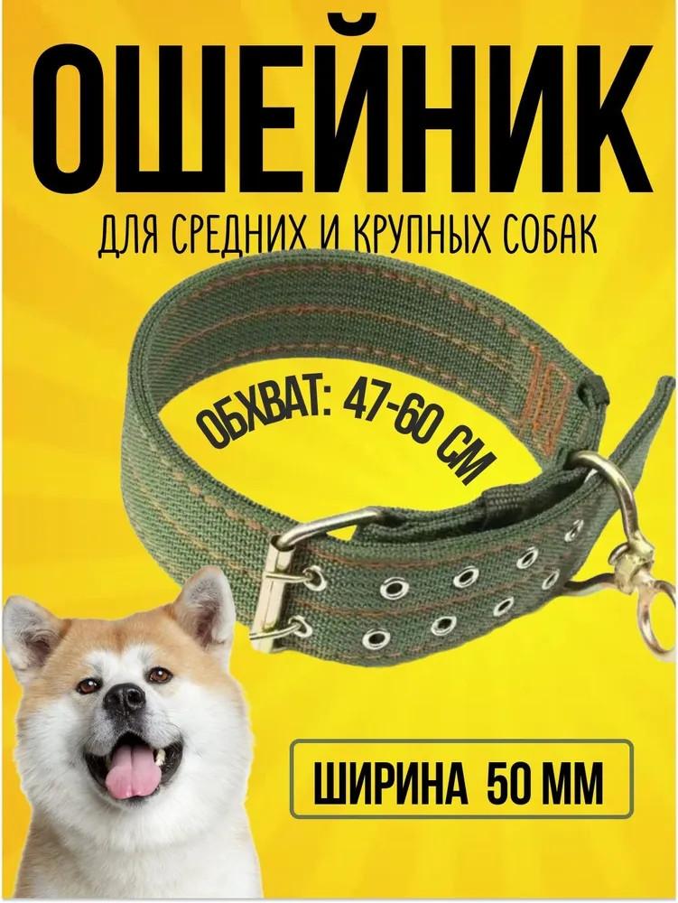 

Ошейник для кошек с фруктовой лентой для домашних животных и фруктовыми аксессуарами, ошейник для домашних животных-колокол One Size зелёный