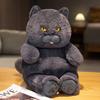 Cute Simulation British Short Blue Cat Doll Plush Toy Kitten Doll Girl Sleeping Soothing Throw Pillow Rag Doll