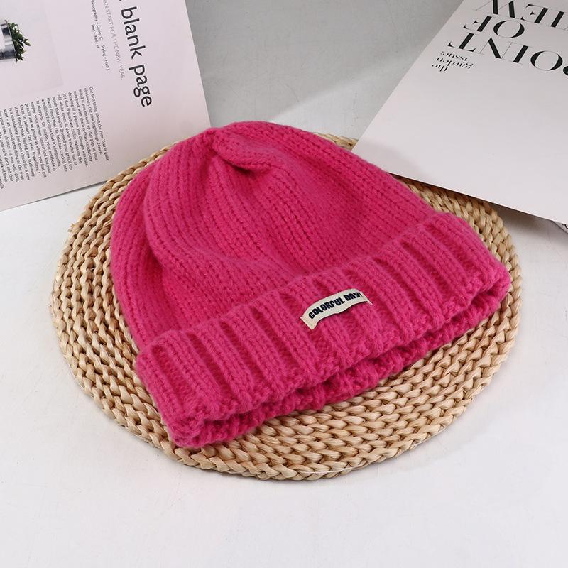 Women's Autumn and Winter New Big Head Circumference Warm Knitted Hat Korean Style Student Face Small Ear Protection Cold Hat Pile Hat