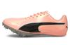 EvoSpeed Sprint 10 'Elektro Peach'