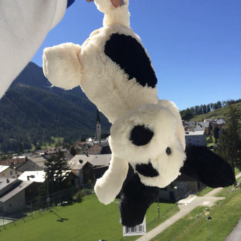 

Плюшевая кукла щенок-пират - Милая мягкая игрушка и игрушка для когтевого автомата - Подарок на День святого Валентина 30cm