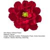 Large Velvet Artificial Magnolia Flower Christmas Faux Red Poinsettia Flower for Wedding Party Christmas Home Decor
