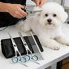4Pcs Pet Safe Scissors - Ambidextrous Dog Grooming Shears With Safe, Round Head For Precision Trimming For Dogs & Cats