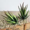 Convenient Practical Useful Artificial Plant Garden Wedding Display Plastics Decoration Home Leaves Office Room