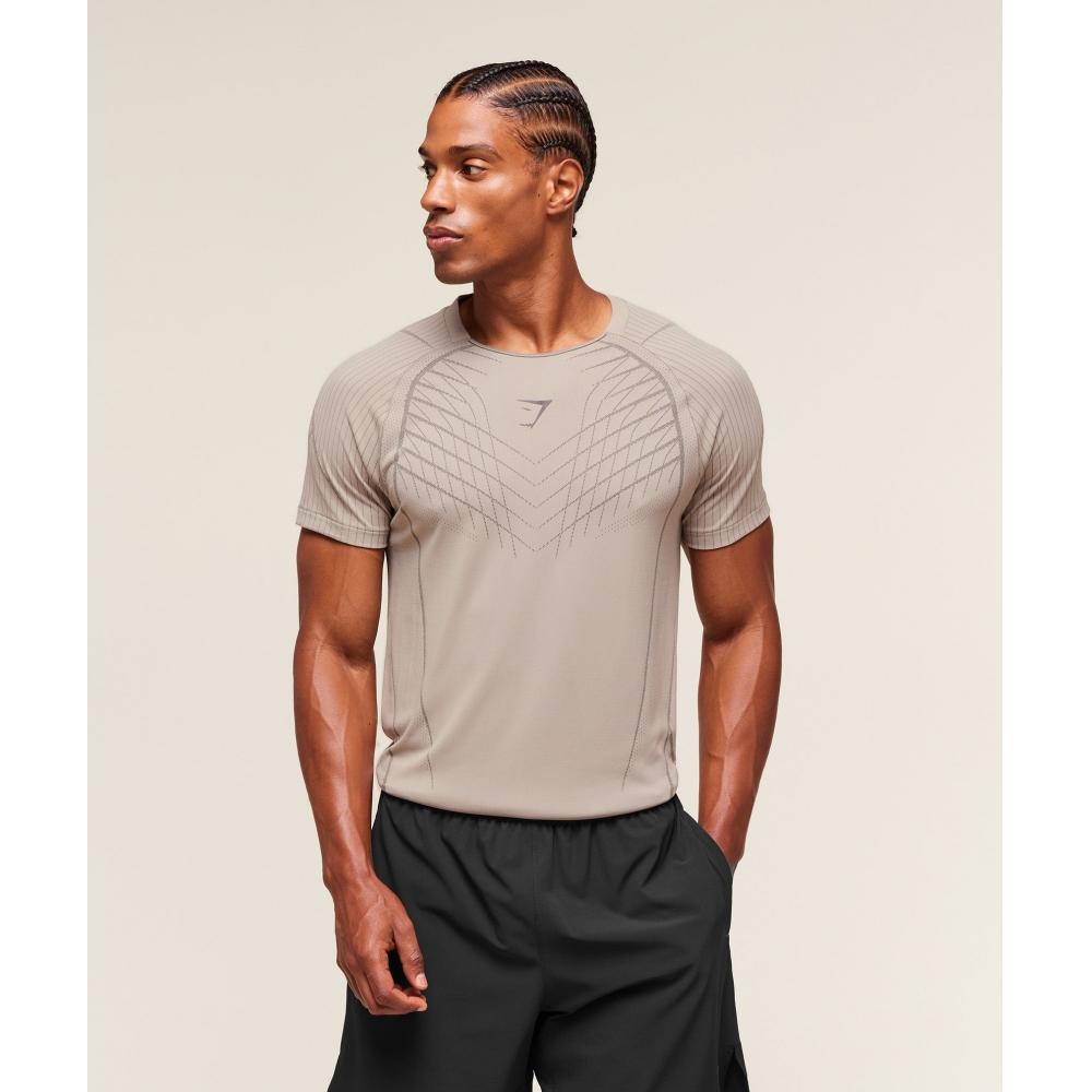 Gymshark Apex Seamless T shirT Mushroom Grey piTch Grey A2b3s gdmT