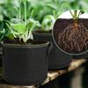 1PC Fabric Plant Pots Grow Bags 10 Gallon Gardening Vegetable Tomato Strawberry Growing Planter Containers with Sturdy Handles