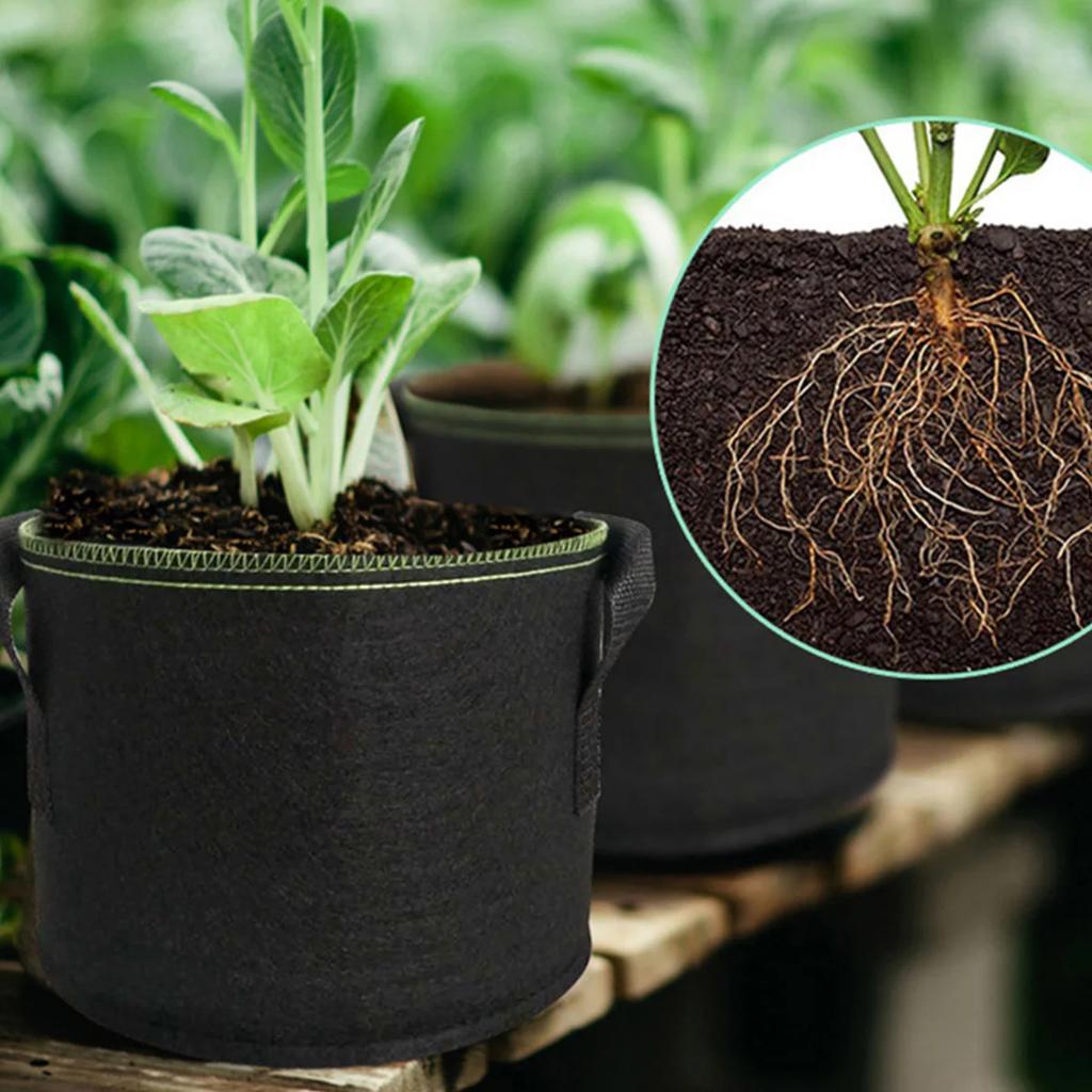 1PC Fabric Plant Pots Grow Bags 10 Gallon Gardening Vegetable Tomato Strawberry Growing Planter Containers with Sturdy Handles