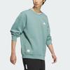 Adidas FW24 Kleine Logo Sweat-Serie Lockerer Schnitt Rundhals Langarm Sweatshirt Herren Sweatshirt Hellgrau JM3412