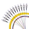 SNIT SN-FC12-SM Telecomkwaliteit 12-aderige FC Single-Mode Glasvezel Pigtail