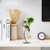 1pc Desktop Glass Planter Hydroponics Vase Planter Bulb Vase with Holder for Home Decoration Modern Creative Bird Plant Terrarium Stand