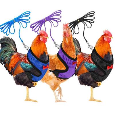1 Pcs Fashion Chicken Duck Vest Hen Belt Pet Harness Matching Collars Bow Comfortable Leads Breathable Poultry Supplies