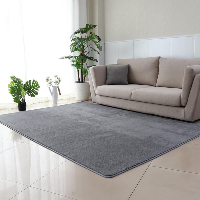 Ultra-Soft Water-Washable Shaggy Carpet for Living Room, Bedroom & Entrance