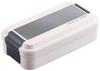 OSK Bento Box with Metallic Made In Dishwasher and Microwave Dividers, 850ml, Style, Beige, MES, Japan, Antibacterial, Safe, BL-37D