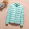 Thin Down Jacket Women's Short Models, New Models In the New Year, Large Size, Anti-season Clearance, White Duck Down, Light Jacket, Winter E