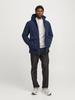 Winter Jacket Jack & Jones Parka Charlie Jacke