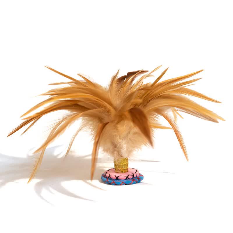 

Duanyun Handmade Feather Juggling Shuttlecock